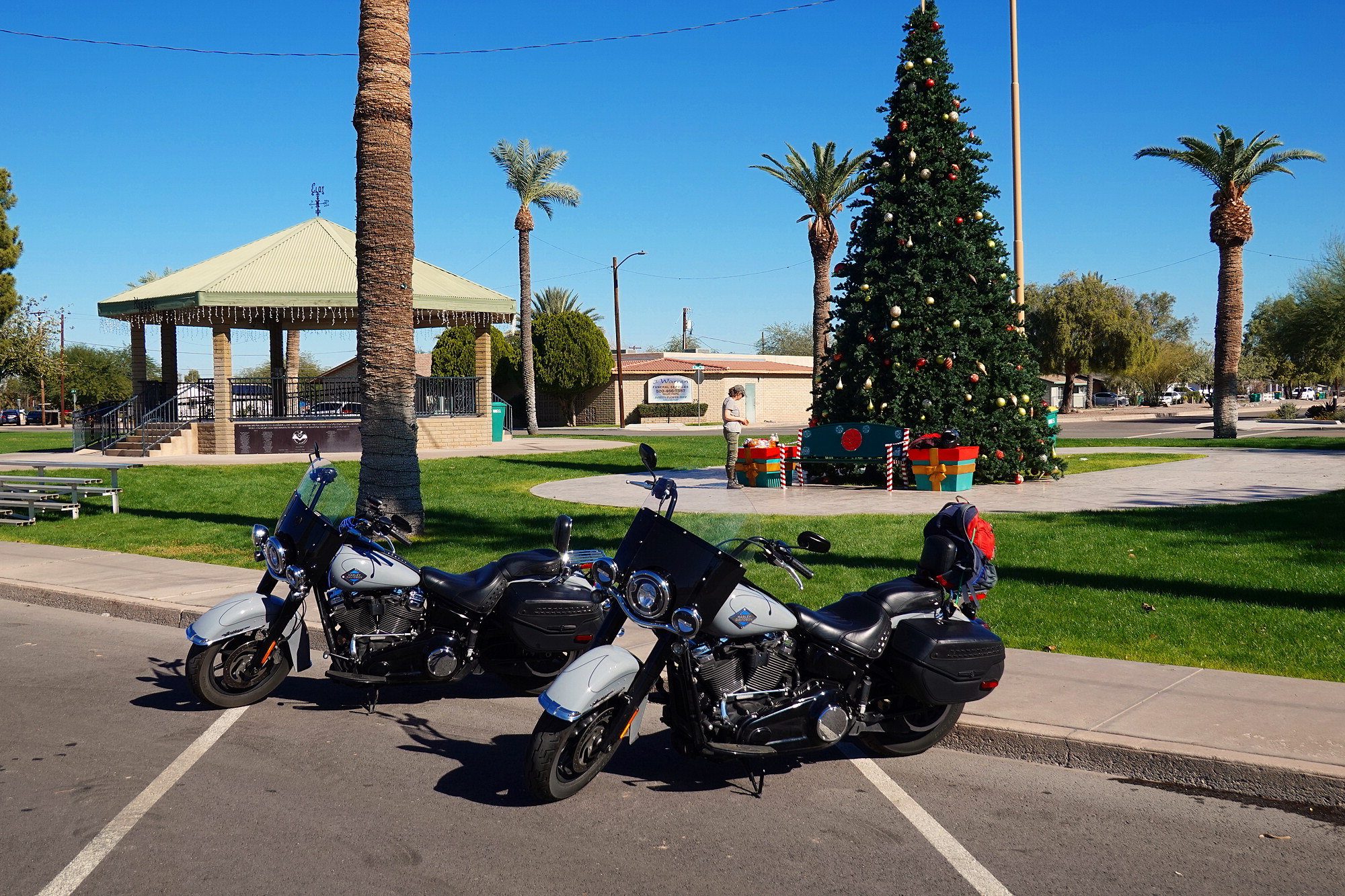 Picnic by a Christmas Tree in late November.  Very nice!